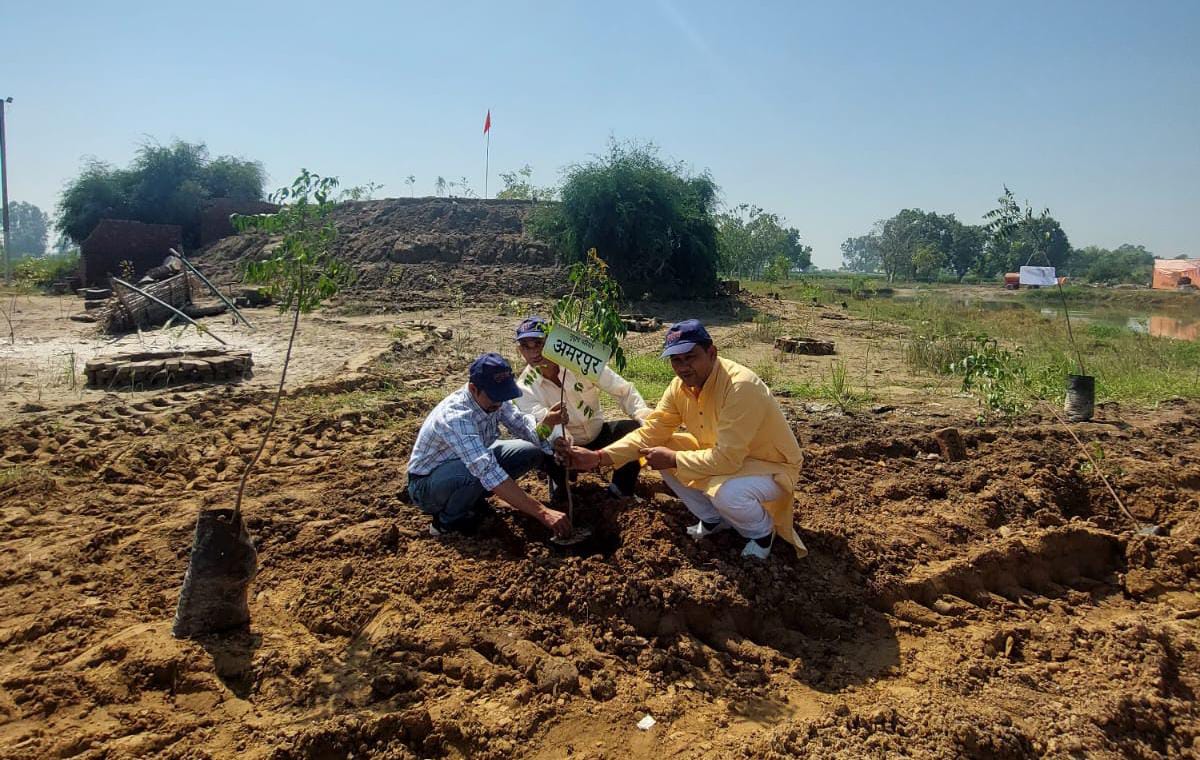 गिरावड़ — तस्वीर 12