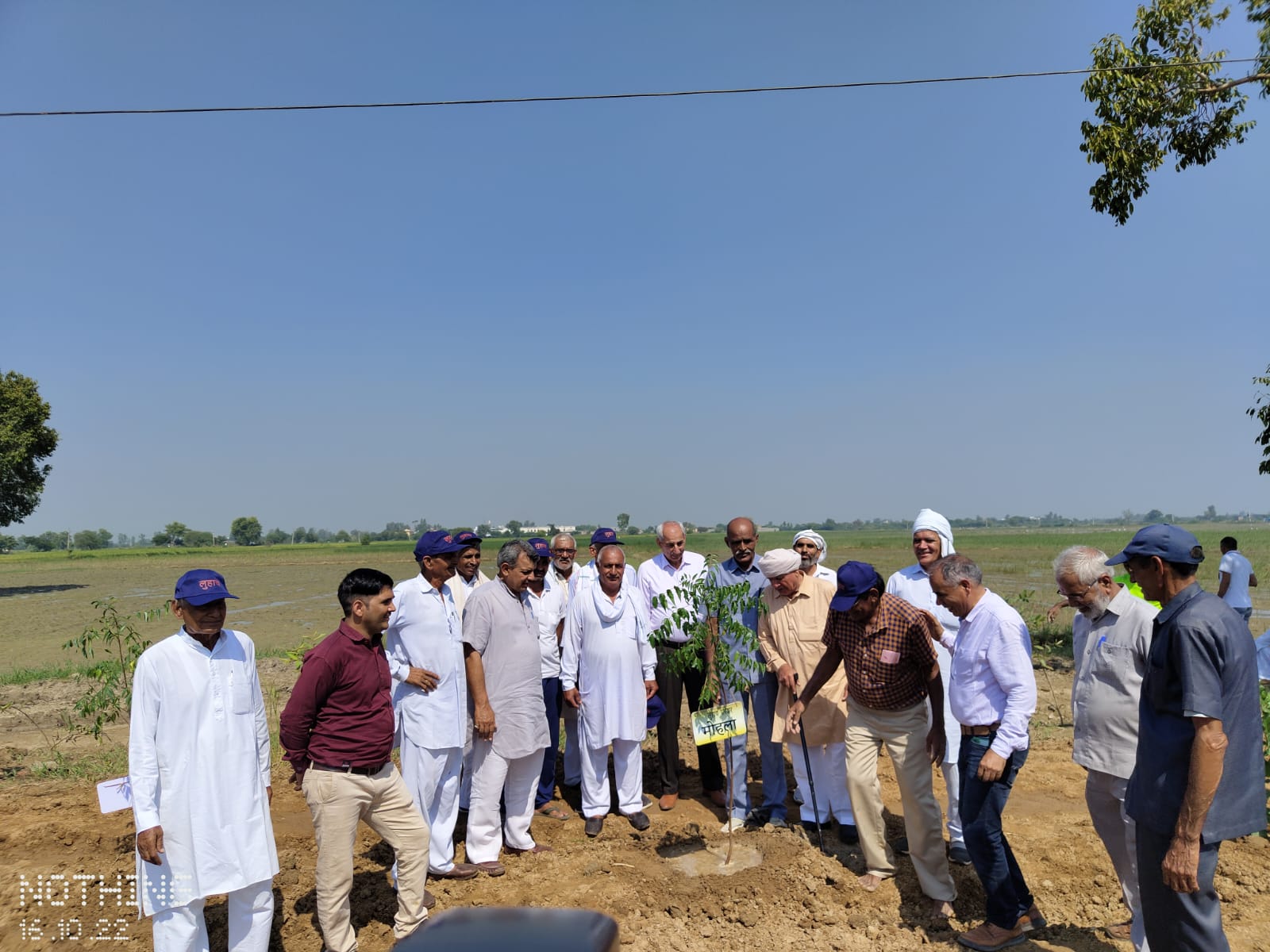गिरावड़ — तस्वीर 13